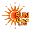 Sun Gemini Life